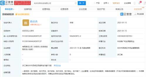社会经济咨询服务 驱动发展与决策的智慧引擎