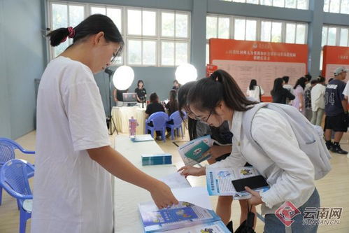 蒙自市扎实开展民营企业服务月系列活动，助力社会经济发展