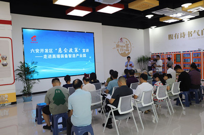 安徽非公经济组织和社会组织党建网 引领社会经济咨询服务的红色引擎