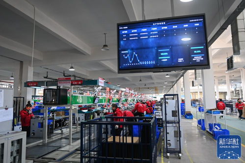 浙江嵊州 以高质量社会经济咨询服务为引擎，推进工业经济跨越发展