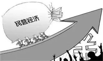 三亚优化营商环境让民营企业更好服务经济社会